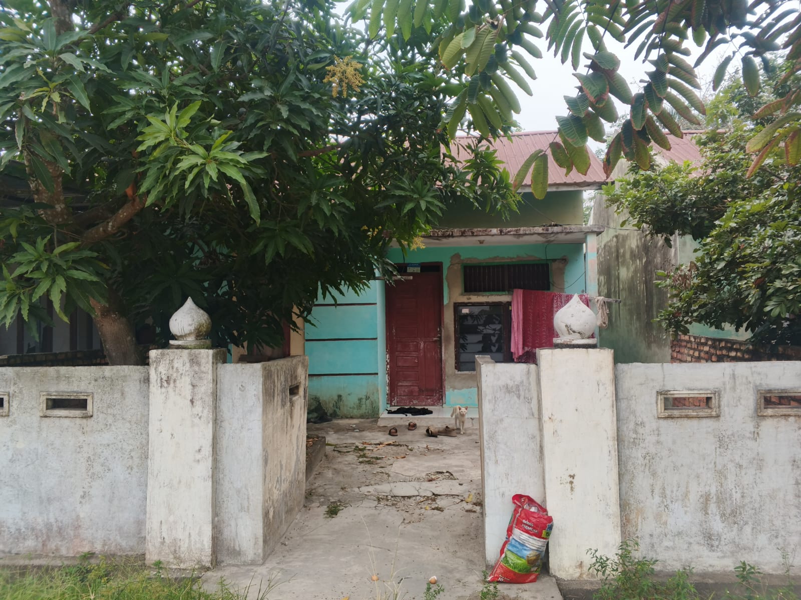 Rumah